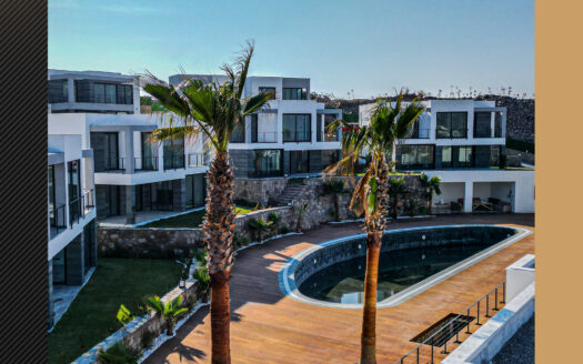 Bodrum project