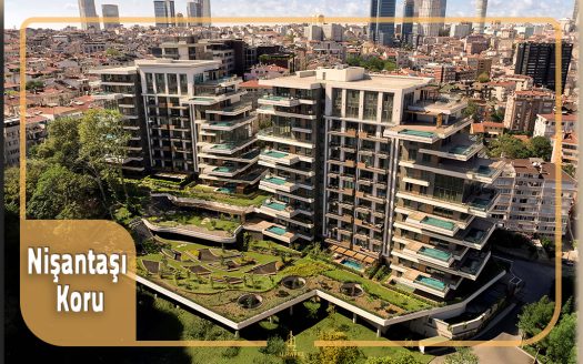 NIŞANTAŞI KORU 