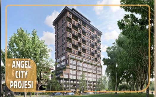 ANGEL CITY Projesi